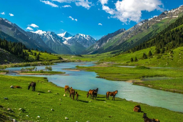 CÓ MỘT TRUNG Á VỚI THIÊN NHIÊN TƯƠI ĐẸP KAZAKHSTAN VÀ KYRGYZSTAN NGÀN MÂY NÚI XANH NƯỚC BẠC NHỮNG CUNG ĐƯỜNG KỲ VĨ CHẬP TRÙNG (CHÙM TOUR CON ĐƯỜNG TƠ LỤA) BẢN ĐẶC BIỆT 10 NGÀY 9 ĐÊM TỪ HÀ NỘI SÀI GÒN
