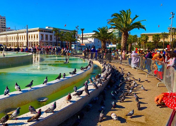 TOUR MAROC SA MẠC SAHARA 10N9Đ KHỞI HÀNH TỪ HÀ NỘI SÀI GÒN KHÁM PHÁ BẮC PHI XINH ĐẸP BỐI CẢNH BỘ PHIM HUYỀN THOẠI CASABLANCA