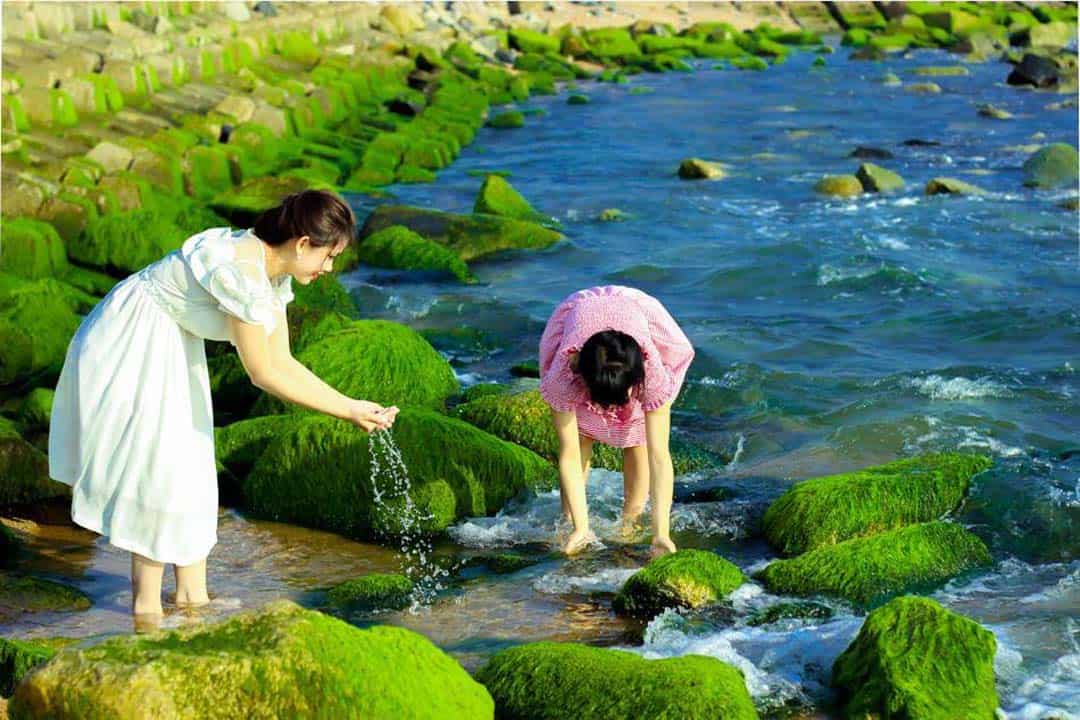 TOUR HÀ NỘI-QUY NHƠN-TUY HÒA-PHÚ YÊN GIẢM GIÁ-VỀ XỨ GIÓ CÁT NẮNG VÀNG BIỂN XANH LẮNG NGHE ĐIỆU HÁT BÀI CHÒI THÂN THƯƠNG