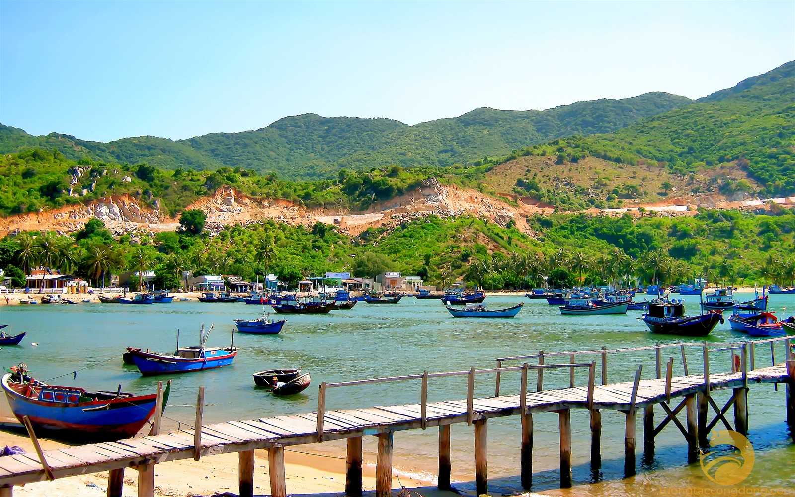 HÀ NỘI - NINH THUẬN - KHÁM PHÁ XỨ SỞ NHO, CỪU